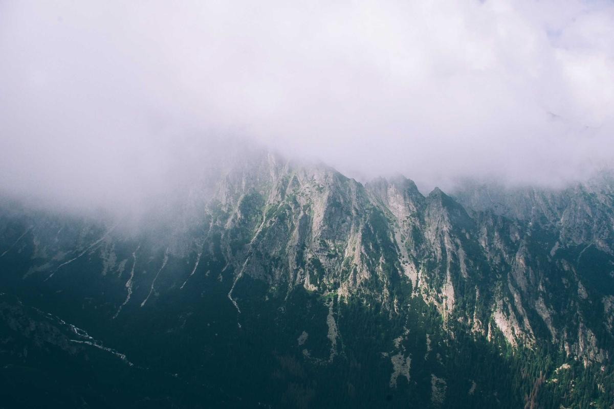 Lorem Ipsum Project 7