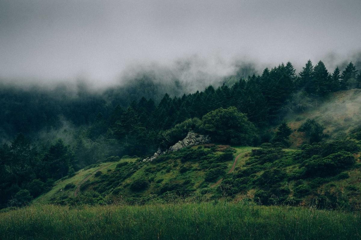 Lorem Ipsum Project 5