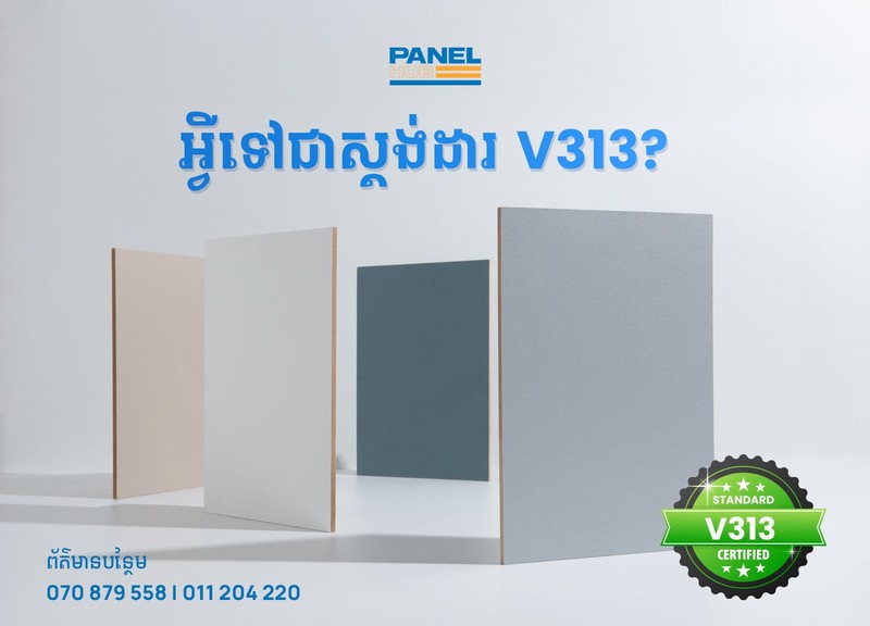 What is V313 Standard?